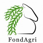 LogoFONDAZIONE